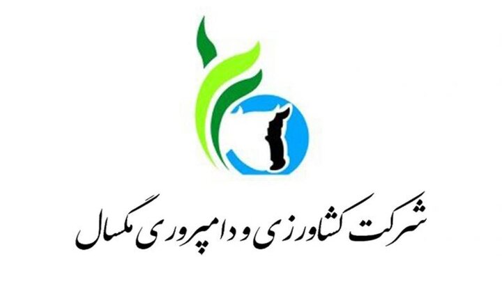 کشاورزی و دامپروری مگسال زیر ذره‌بین