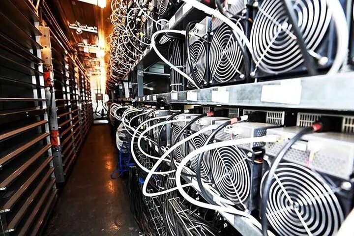 افعی برقی ایران به نمایش گذاشته شد