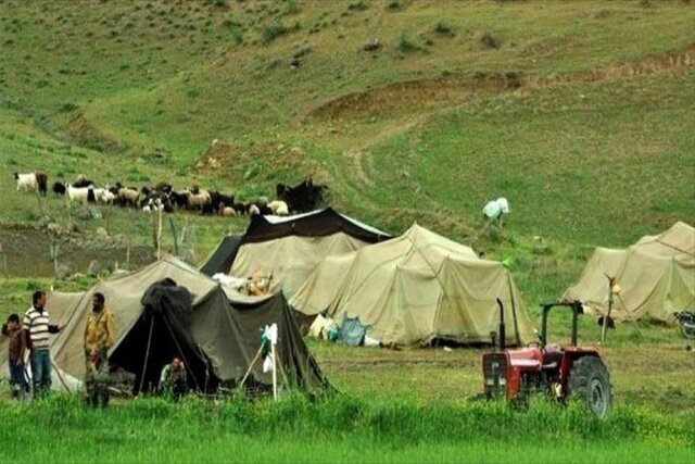 عشایر، تأمین‌کنندگان ۲۵ درصد از گوشت قرمز ...