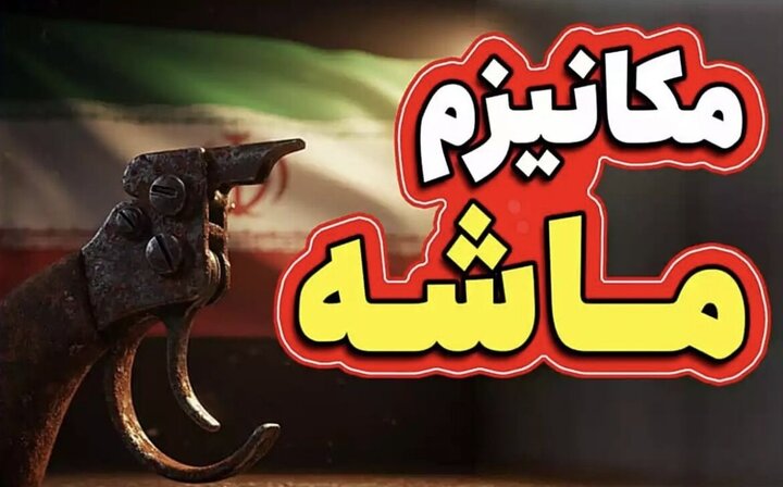 اسنپ‌بک چیست و چه ویژگی‌هایی دارد؟