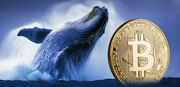 جهش ۱۷ میلیارد دلاری ورودی بیت‌ کوین توسط نهنگ‌ها