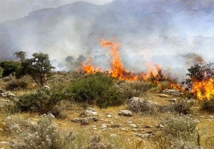 آتش ۱۰ هکتار از مراتع بام ایران را سوزاند
