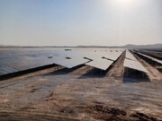 افتتاح ۹ نیروگاه خورشیدی به ظرفیت ۱۰۰ مگاوات توسط رئیس‌جمهور