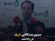 صندوق چندکالایی «ترنج» در راه است