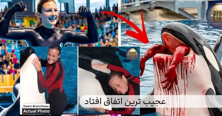 ویدیوی جعلی حمله نهنگ قاتل به مربی خود جسیکا رادکلیف