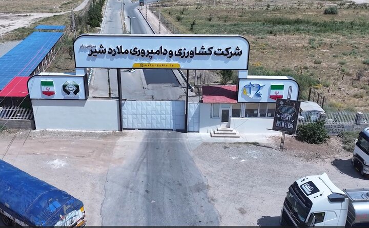 اظهارنامه قضایی علیه زملارد/ اعلام نتایج شفاف‌سازی به سهامداران بزودی