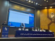 رافزا چه میزان سود تقسیم کرد؟