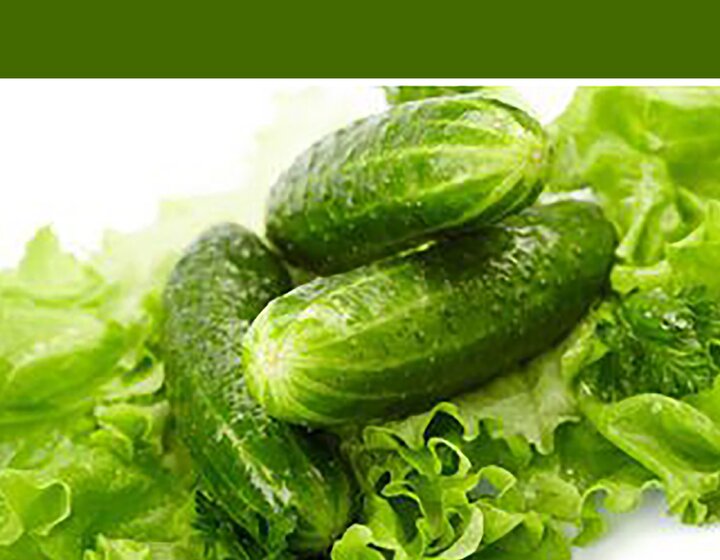 خیار و کاهو: سبزیجاتی با طعم لاکچری!