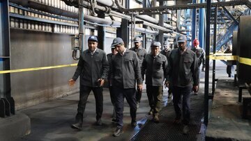 راه‌اندازی «گواهی سپرده گندله» در مراحل نهایی