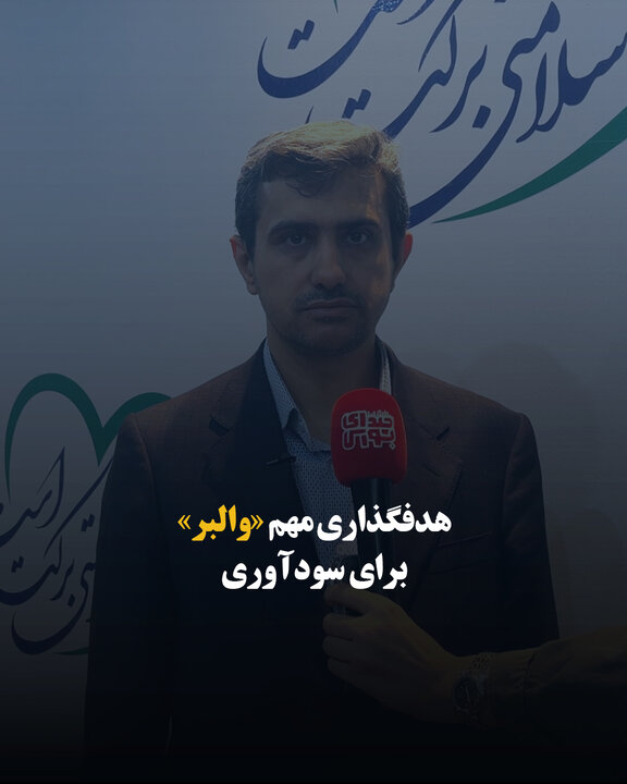 هدفگذاری مهم «والبر» برای سودآوری