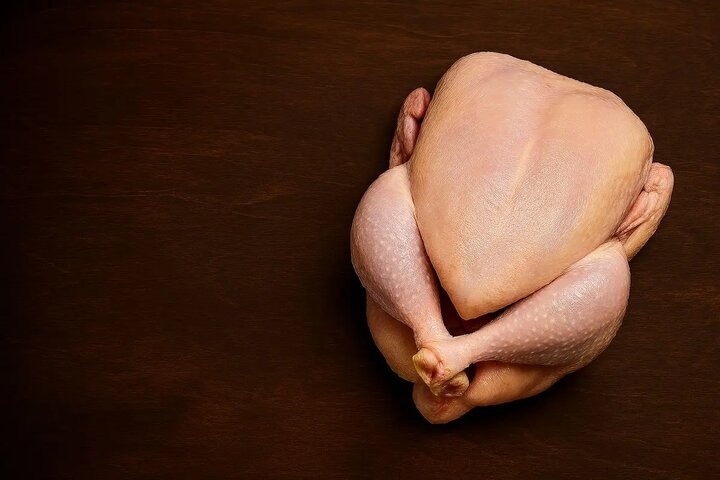 مرغ ارزان را از کجا میتوانیم بخریم؟ مرغ ارزان را از کجا میتوانیم بخریم؟