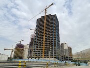 بازگشت مروارید به مدار ارزش‌آفرینی