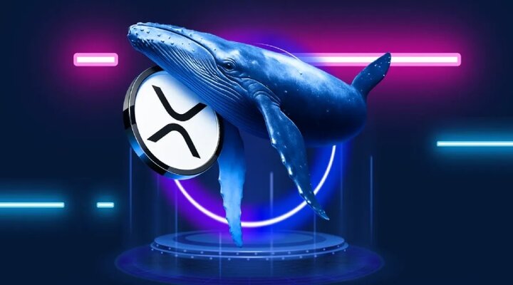 نهنگ‌ها از  ریپل خارج می شوند؟