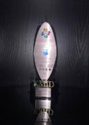 بیمه پاسارگاد برنده تندیس بلورین جایزه بین‌المللی مدیریت دانشی KM4D شد