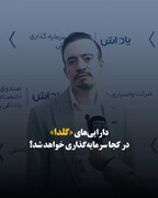 دارایی‌های «گلدا» در کجا سرمایه‌گذاری خواهد شد؟