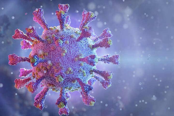 واکنش وزارت بهداشت به شیوع کرونای تیغی در کشور