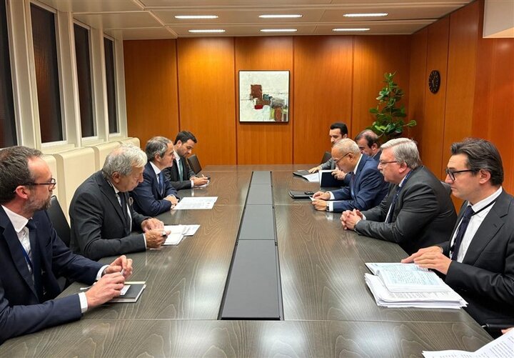 سفیران ایران، روسیه و چین با گروسی دیدار کردند