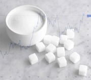 پیش‌بینی سود و نقدشوندگی در بورس قند و شکر