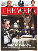 تعطیلی پردردسر