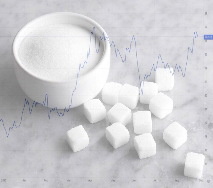 پیش‌بینی سود و نقدشوندگی در بورس قند و شکر