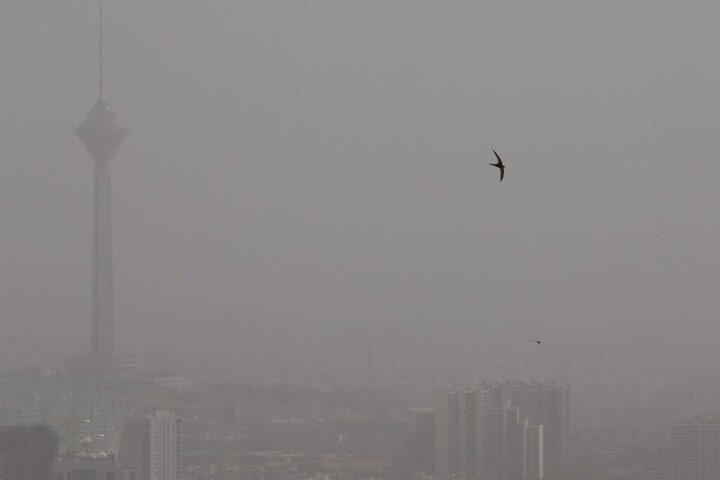 تهران هفته آینده تعطیل می‌شود؟