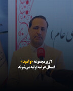  ۲ زیرمجموعه «وامید» امسال عرضه اولیه می‌شوند