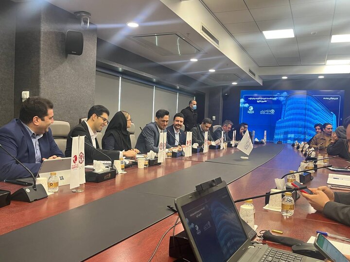 هانیکو با ارزش ۵/۲ همت IPO می‌شود/ رشد ۶۰ درصدی درآمد سالانه