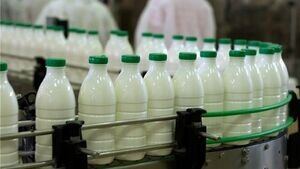 لبنیات از این تاریخ ارزان میشود لبنیات از این تاریخ ارزان میشود