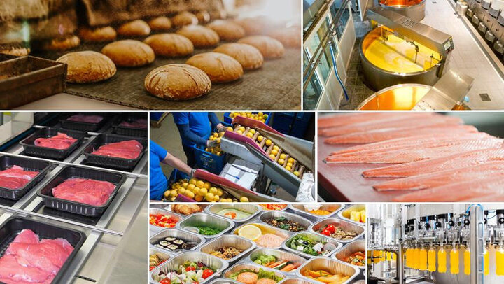 ظرفیت مازاد در صنعت غذای ایران