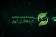 شیفته چقدر ارزش گذاری شد؟