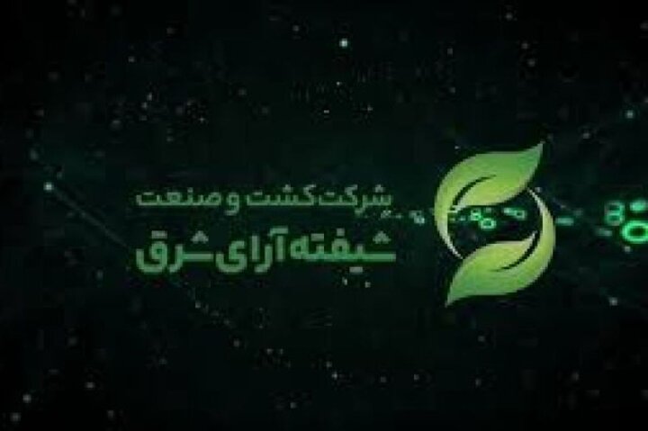 شیفته چقدر ارزش گذاری شد؟
