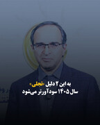 به این ۲ دلیل «تجلی» سال ۱۴۰۵ سودآورتر می‌شود