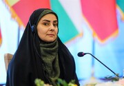 ترخیص کالای اساسی با همکاری ۴ وزارتخانه
