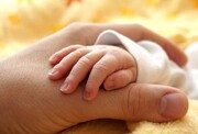 کارت امید مادر ۱۵ اردیبهشت شارژ می‌شود