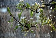 رگبار و رعدوبرق در استان های کشور تا روز شنبه