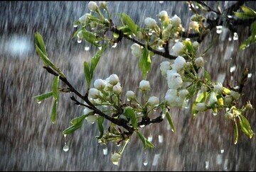 رگبار و رعدوبرق در استان های کشور تا روز شنبه