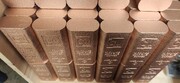 مس کانال ۱۴ هزار دلاری را می بیند؟