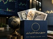 صندوق‌های سرمایه‌گذاری ارزی/ از جذب ارزهای راکد تا تأمین مالی تولید