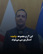 این ۲ زیرمجموعه «وامید» امسال بورسی می‌شوند