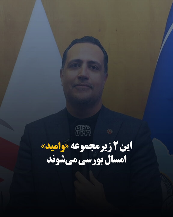 این ۲ زیرمجموعه «وامید» امسال بورسی می‌شوند