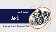 رشد ۱۸۱ درصدی سود خالص رانیز