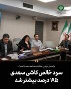 سود خالص کاشی سعدی ۱۹۵ درصد بیشتر شد
