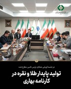تولید پایدار طلا و نقره در کارنامه بهاری پارس تامین