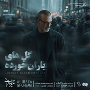 «گل‌های باران‌خورده» علیرضا قربانی؛ معماری موسیقایی یک دلتنگی