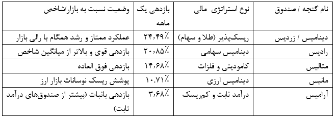 بازدهی ۲۴.۵ درصدی گنجه‌های ایساتیس تنها در ۳۰ روز