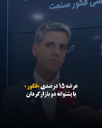 عرضه ۱۵ درصدی «فکور» با پشتوانه دو بازارگردان