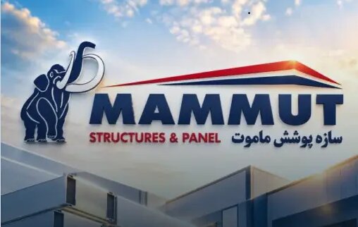 تحقق ۴۲ درصد از فروش پیش‌بینی‌شده فساپ در نیمه نخست سال