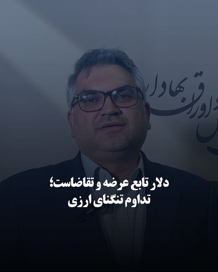دلار تابع عرضه و تقاضاست؛ تداوم تنگنای ارزی