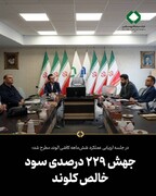 جهش ۲۲۹ درصدی سود خالص کلوند