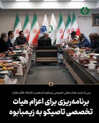 پس از بازدید هیات بخش خصوصی زیمبابوه از معدن و کارخانه طلای تفتان